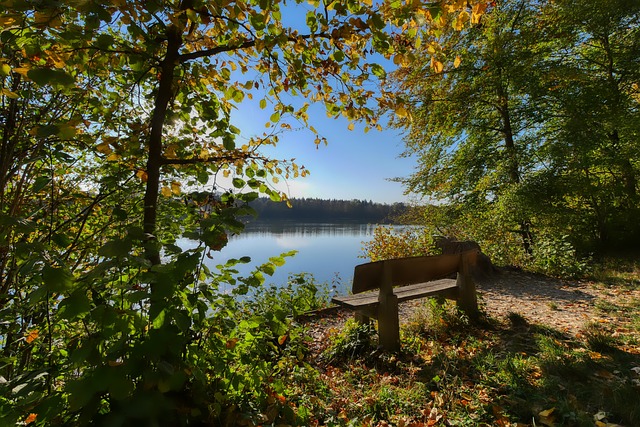 奋了首都的 奋了首都的