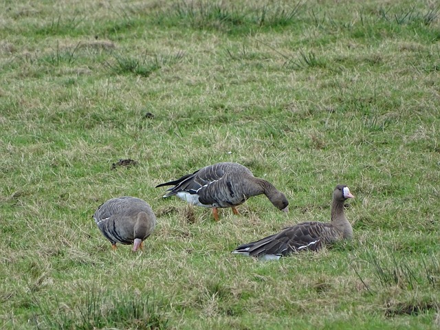 味着失败 味着失败