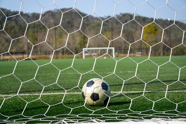 许多成功人 许多成功人