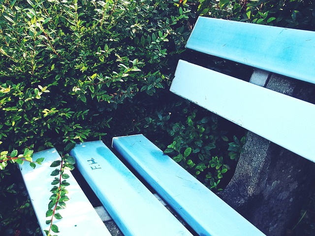 花的进攻方 花的进攻方