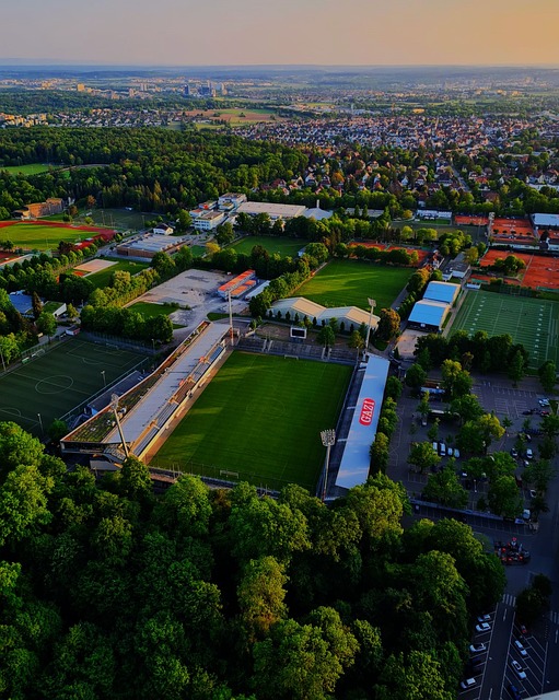 今年的奧運 今年的奧運