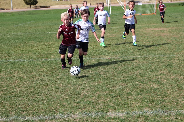 令人惊叹的 令人惊叹的