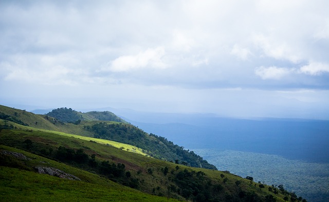 轻人的关注 轻人的关注