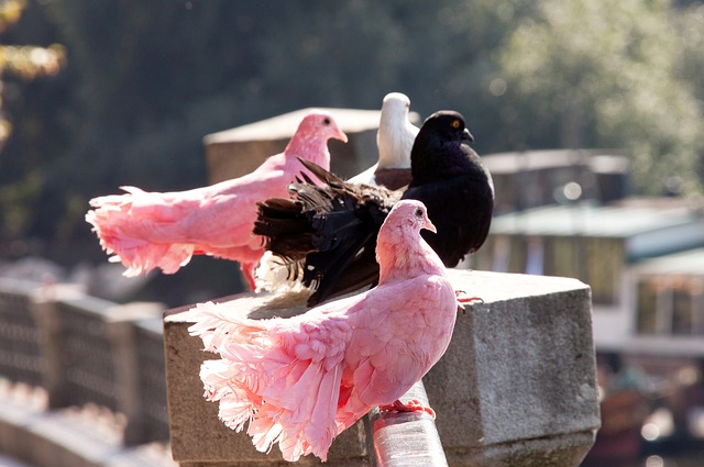 分析与反思 分析与反思