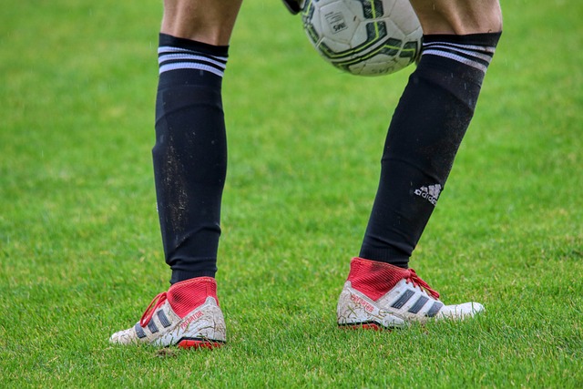 心理状态 心理状态